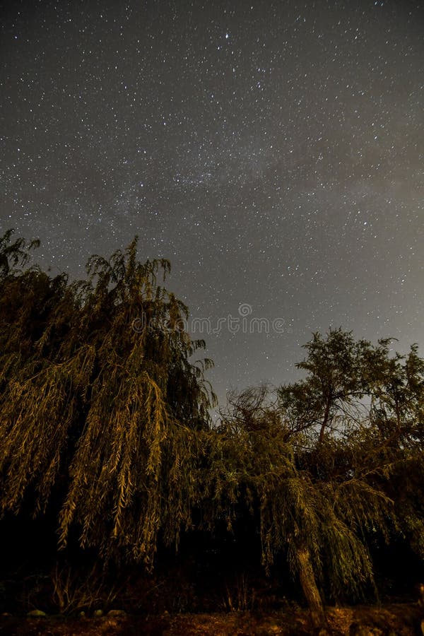 Starry Night Sky with stars stock images