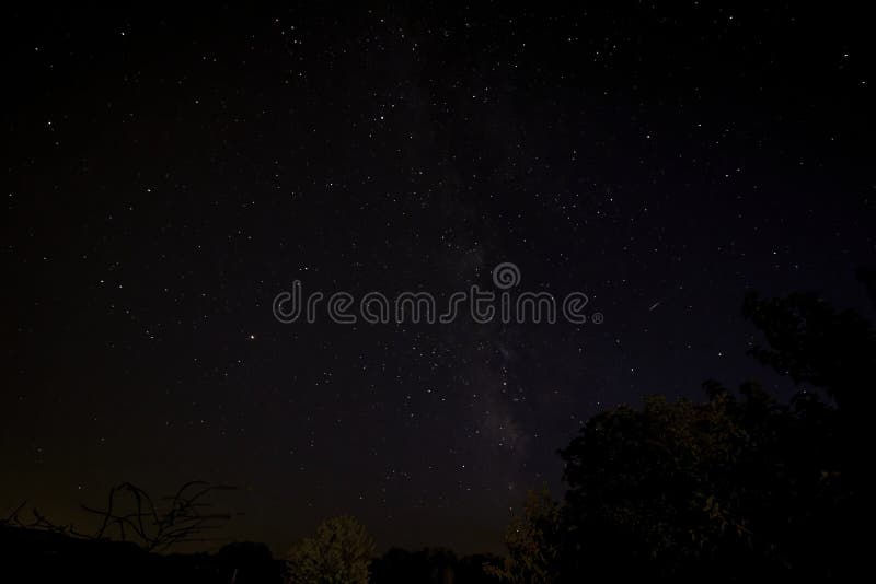 5 658 Starry Night Sky Trees Photos Free Royalty Free Stock Photos From Dreamstime 5 658 Starry Night Sky Trees Photos Free Royalty Free Stock Photos From Dreamstime