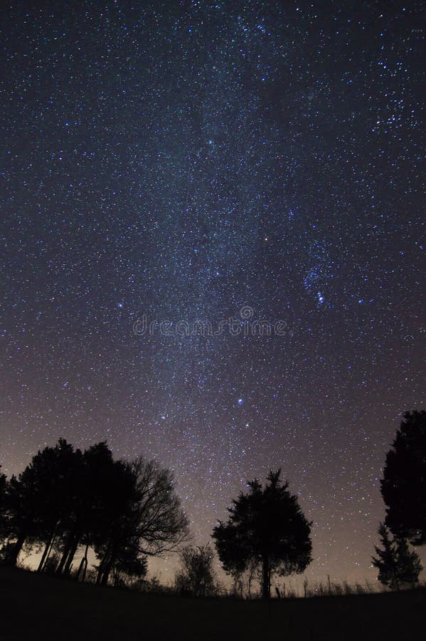 Starry Sky over Treeline, Virginia, USA. Stars and Milky Way over treeline in Central Virginia farmland, USA royalty free stock image Starry Sky over Treeline, Virginia, USA. Stars and Milky Way over treeline in Central Virginia farmland, USA royalty free stock image