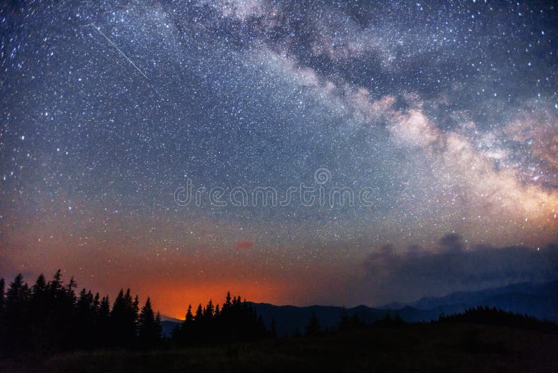 Starry sky through the trees stock image