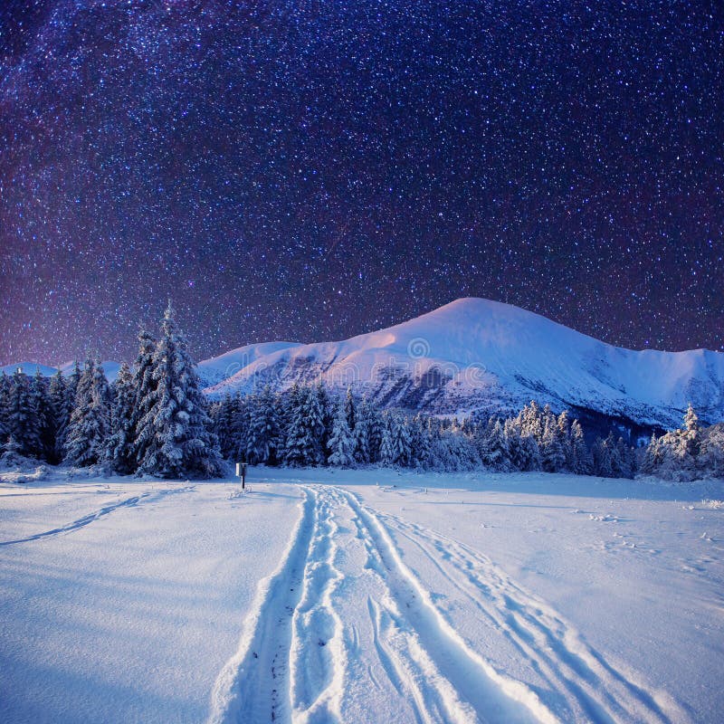 Starry Sky in Winter Snowy Night Stock Image - Image of nature, road