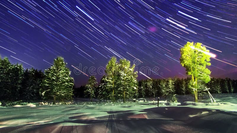 Stars over the winter forest. Line. Time Lapse. 4