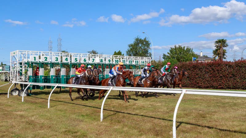211 Horse Racing Starting Gate Photos Free Royalty Free Stock Photos From Dreamstime
