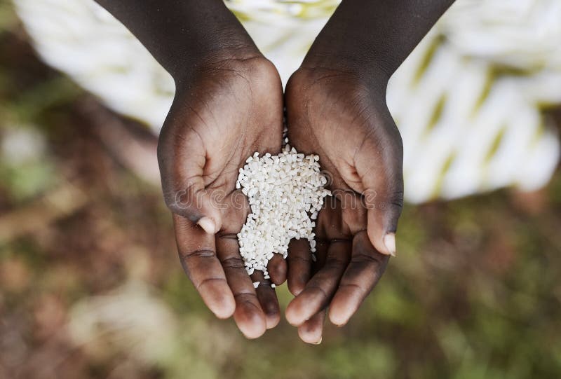 Starving Hunger Symbol Black African Boy Holding Rice Malnutrition. Stop hunger in the world! royalty free stock image Starving Hunger Symbol Black African Boy Holding Rice Malnutrition. Stop hunger in the world! royalty free stock image