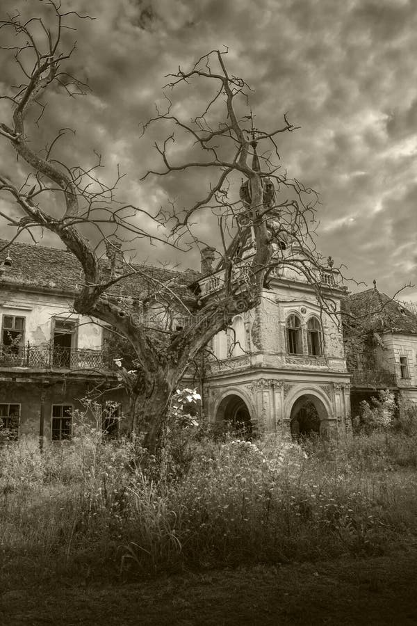 Stary straszny zaniechany Halloween pałac czerni biel zdjęcia stock Stary straszny zaniechany Halloween pałac czerni biel zdjęcia stock