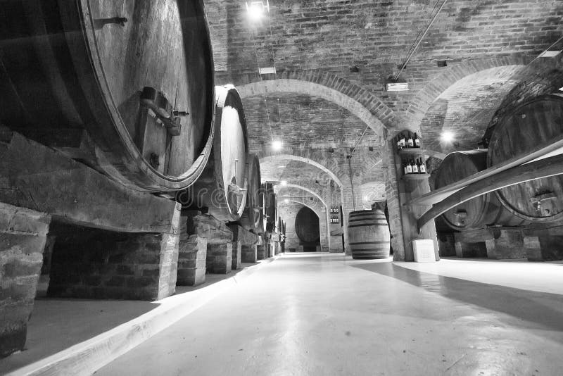 Stary wino loch z baryłkami obrazy stock Stary wino loch z baryłkami obrazy stock