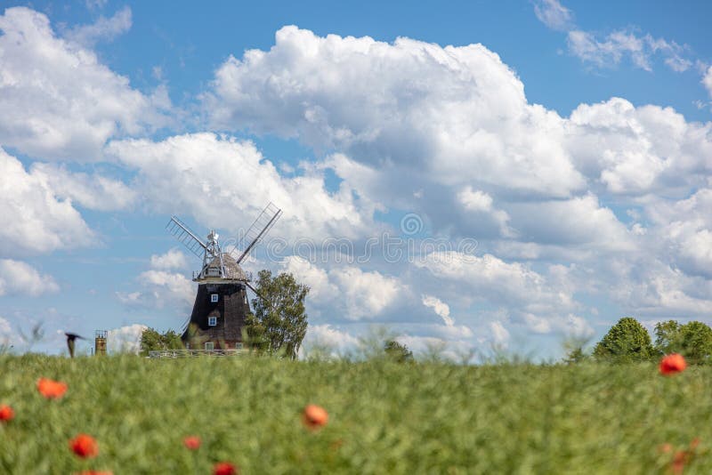 starzy wiatraczków stojaki na canola polu przed niebieskim niebem z białymi chmurami zdjęcie royalty free starzy wiatraczków stojaki na canola polu przed niebieskim niebem z białymi chmurami zdjęcie royalty free