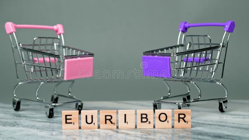 Static Shot of Word EURIBOR Is Written In Wooden Letters On Grey Background. Behind Two Empty Shopping Basket. Concept of