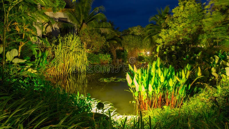Station thermale tropicale à Phuket, Thaïlande - voyage et tourisme Beau paysage dans le secteur de l'hôtel photos stock Station thermale tropicale à Phuket, Thaïlande - voyage et tourisme Beau paysage dans le secteur de l'hôtel photos stock