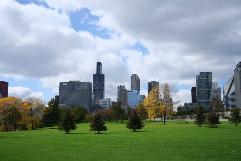 Chicago skyline from Grant park including Sears Tower. Chicago skyline from Grant park including Sears Tower