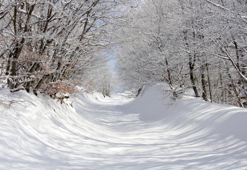 Stationnement de l'hiver images stock Stationnement de l'hiver images stock