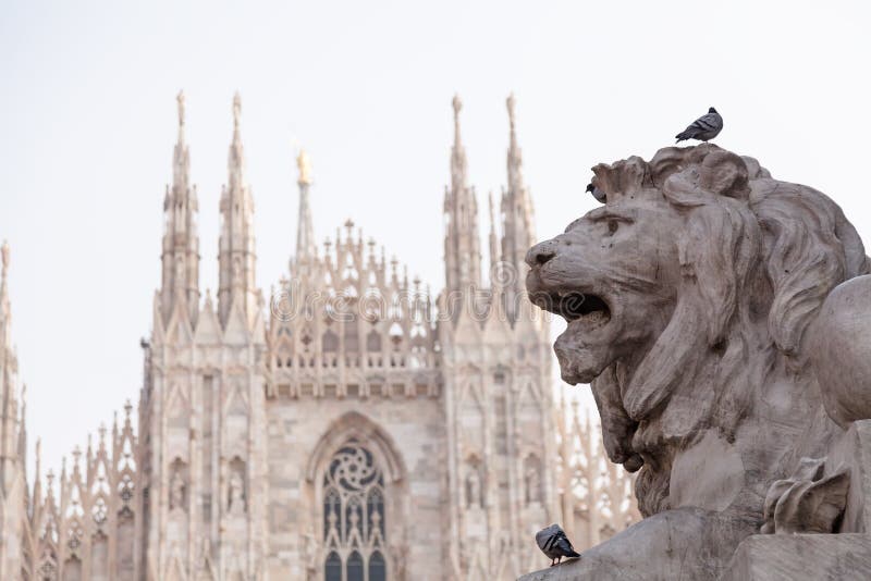 Statua del leone a Milano e cattedrale fotografia stock