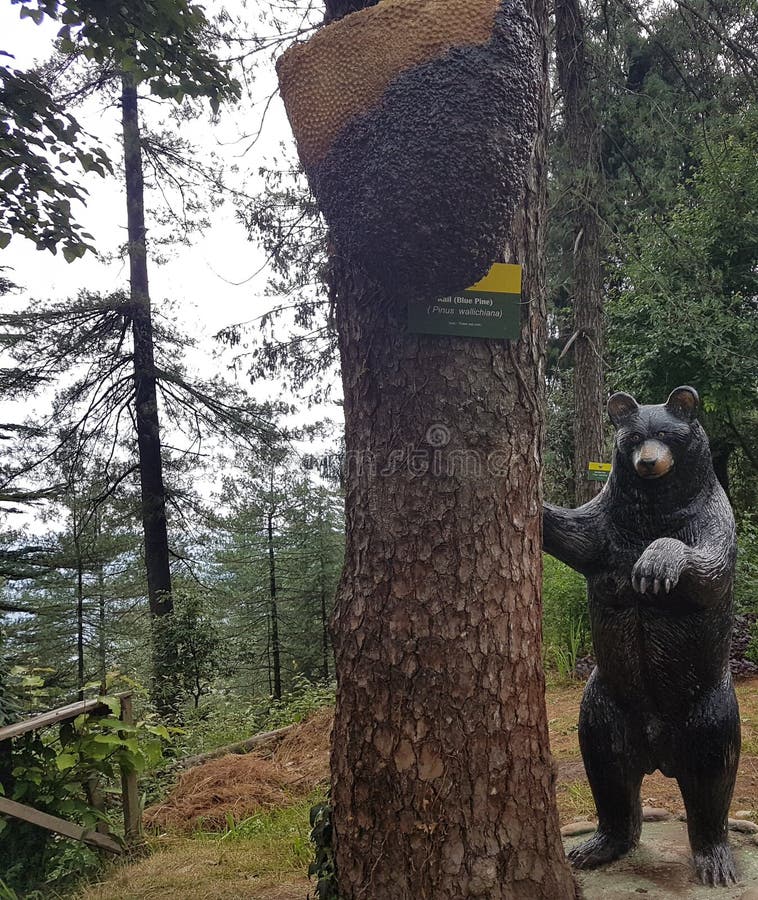 Statua dell'orso e replica dell'ape del miele in parco fotografie stock Statua dell'orso e replica dell'ape del miele in parco fotografie stock