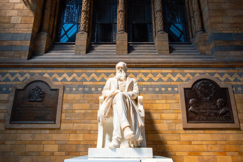 Statua Sir Charles Darwin przy historii naturalnej muzeum w Londyn zdjęcie royalty free Statua Sir Charles Darwin przy historii naturalnej muzeum w Londyn zdjęcie royalty free