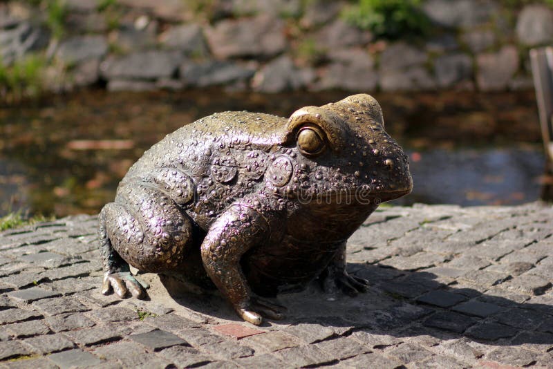 Statue of a bronze frog in the central park stock images Statue of a bronze frog in the central park stock images