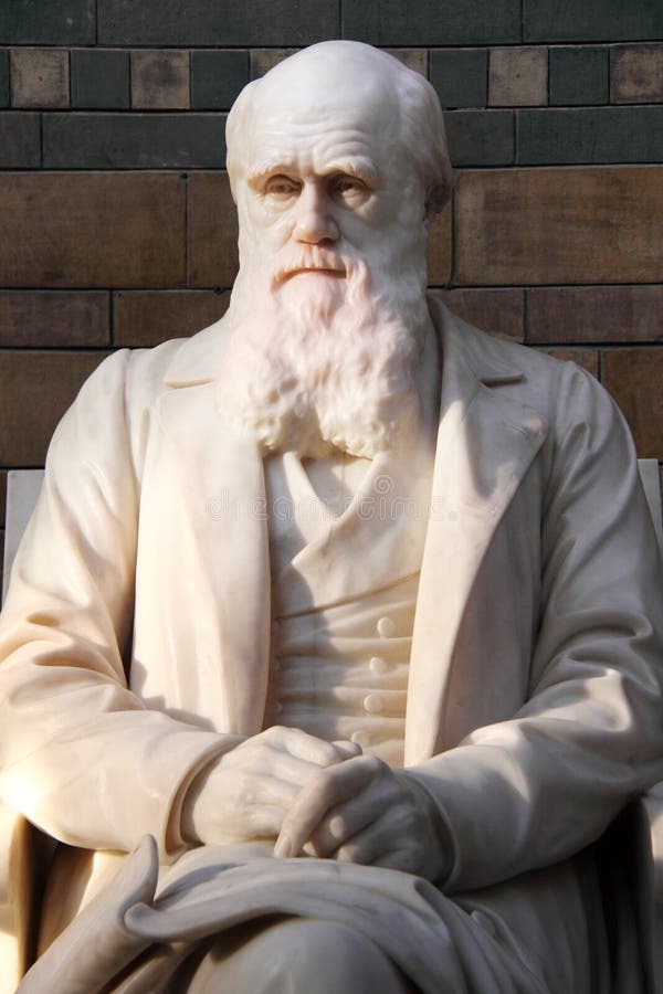 Download Statue of Charles Darwin stock image. Image of science - 11081971