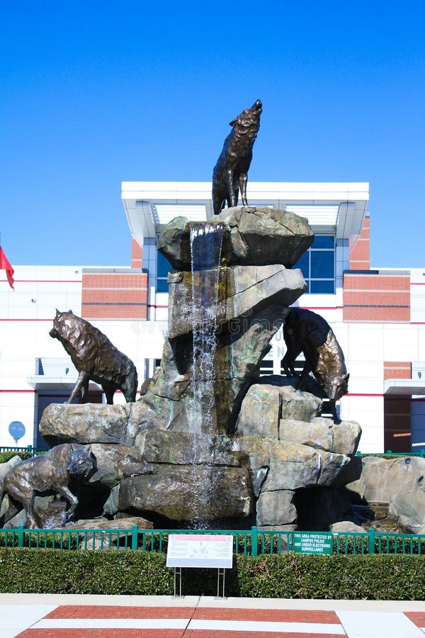 Statue de Wolfpack chez Carter-Finley Stadium, Cary, la Caroline du Nord photos stock Statue de Wolfpack chez Carter-Finley Stadium, Cary, la Caroline du Nord photos stock