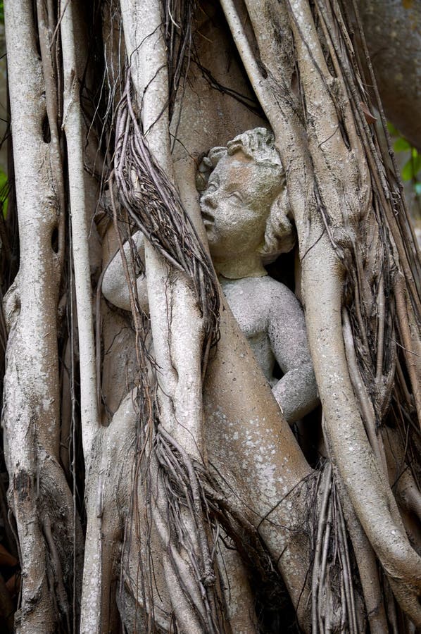 Statue der Person eingeschlossen in banyon Baum stockfotografie