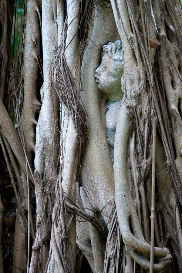 Statue des Kindes eingeschlossen in banyon Baum lizenzfreies stockfoto
