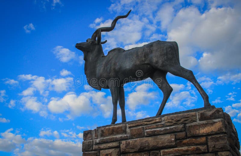 Statue en bronze d'antilope avec de grands klaxons courbés au centre de la capitale de la Namibie images stock Statue en bronze d'antilope avec de grands klaxons courbés au centre de la capitale de la Namibie images stock