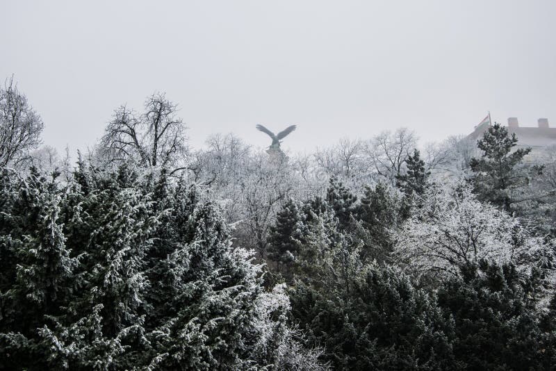 The Hungarian Turul under a foggy and frozen day. The legendary defender of Hungary stock photos The Hungarian Turul under a foggy and frozen day. The legendary defender of Hungary stock photos