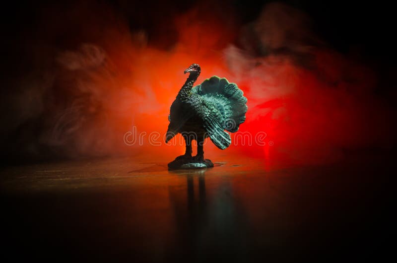 Statue of Turkey Tom strutting his stuff with red wattles and blue/white head on a smoke toned dark background. With empty space.