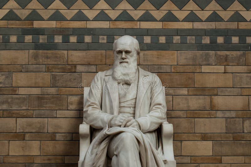 Statue von Charles Darwin