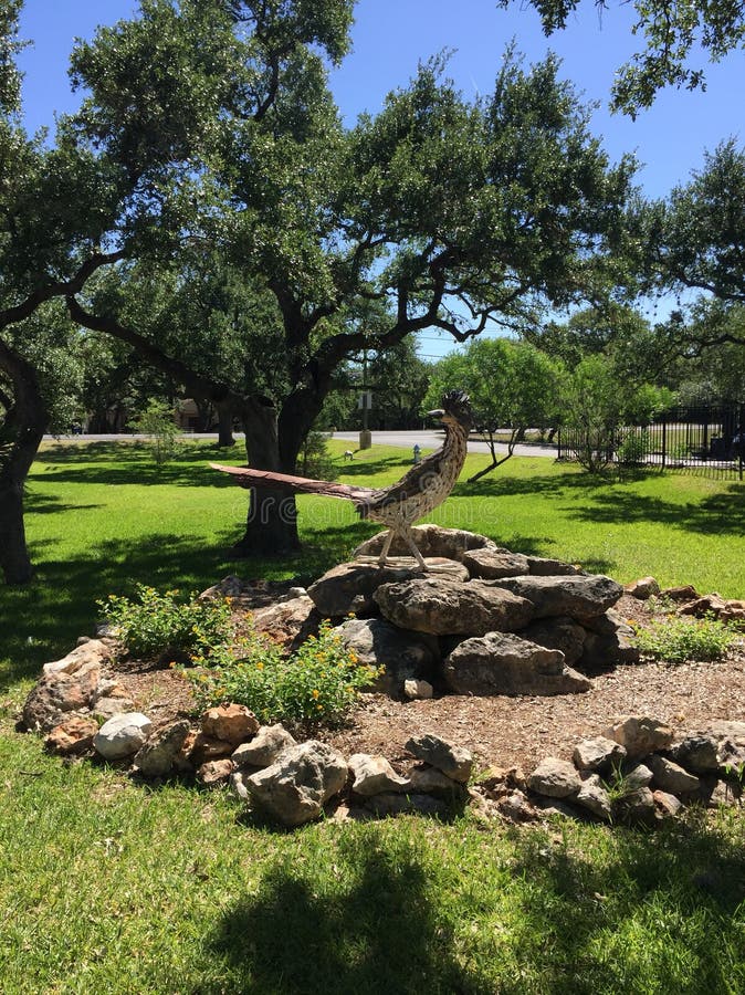 Staty för väglöpare i stad för Texas kulleland royaltyfria bilder Staty för väglöpare i stad för Texas kulleland royaltyfria bilder