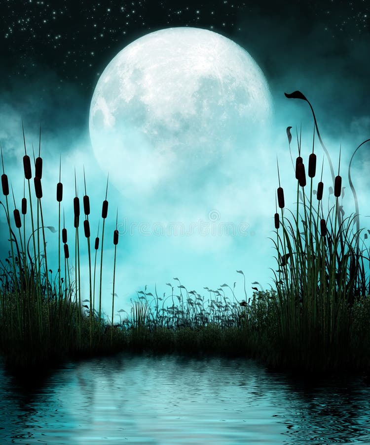 Staw i księżyc przy nocą