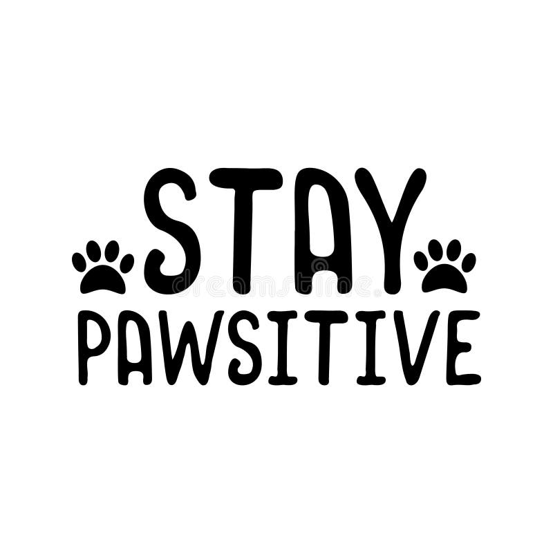 stay pawsitive stay pawsitive
