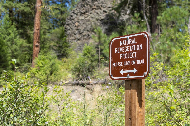 A stay on trail sign posted in a natural revegetation project area along the walking path at Riverside Park, Spokane Washington royalty free stock photo A stay on trail sign posted in a natural revegetation project area along the walking path at Riverside Park, Spokane Washington royalty free stock photo