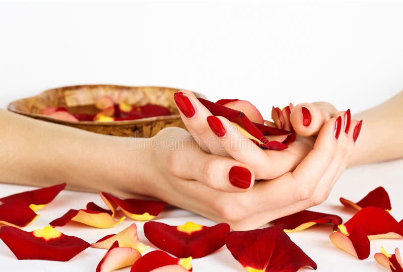 Woman hands with manicure and red rose petals during spa. Woman hands with manicure and red rose petals during spa