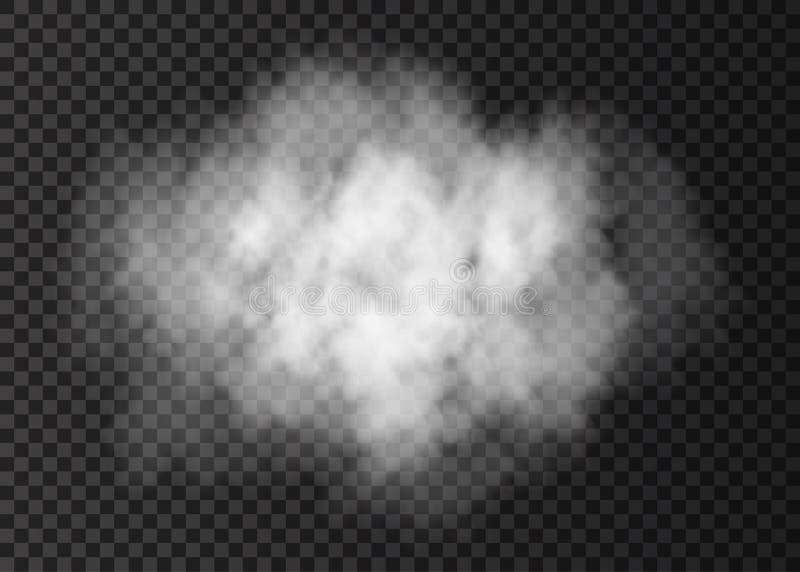 White transparent steam on dark background Vector Image