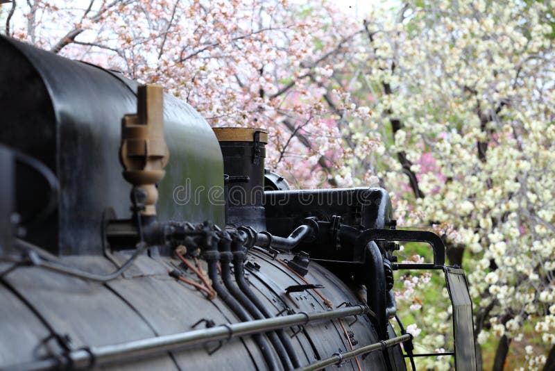 Steam Locomotive and Cherry Trees royalty free stock images Steam Locomotive and Cherry Trees royalty free stock images