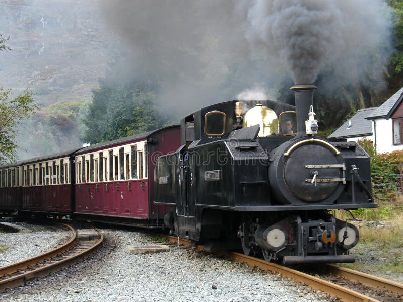 Narrow Gauge Steam Trains