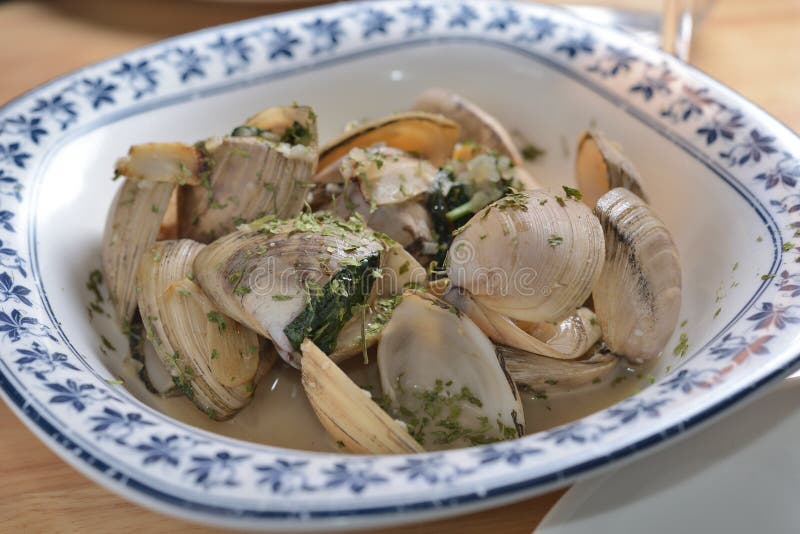 Steam New Zealand Garlic Tuatua. Bivalve shell stock images, royalty-free photos and pictures