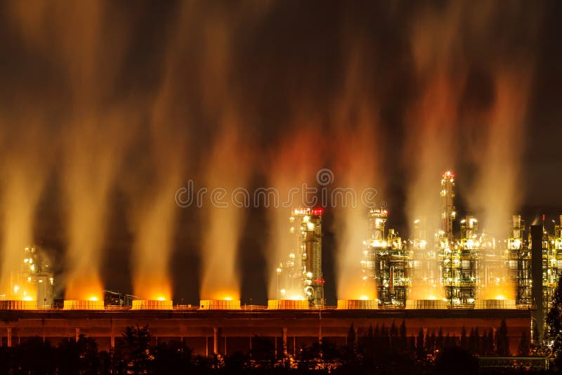 What Do Plants Do At Night To Get Energy