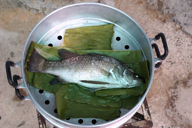 Steam sea bass fish royalty free stock photo Steam sea bass fish royalty free stock photo
