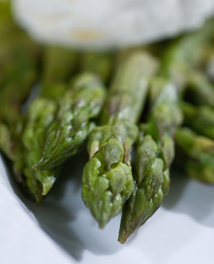 Steamed asparagus stock photo. Image of vegetable, dates 12497986
