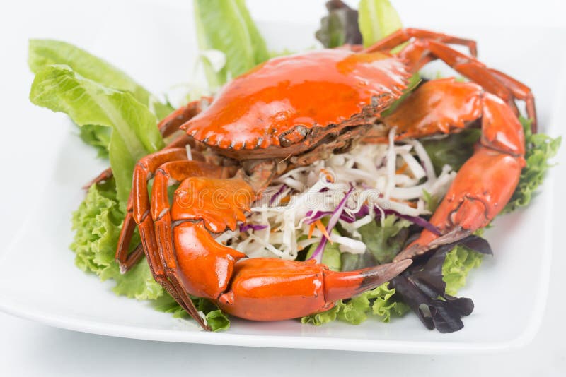 Steamed Crab stock photo. Image of ocean, healthy, fish 80264364