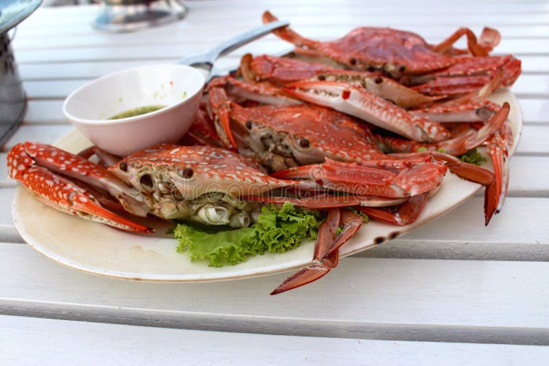 Steamed crabs food stock photo. Image of steamed, white 56697536