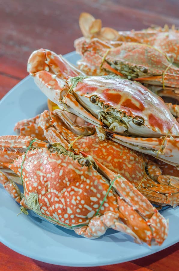 Steamed flower crab stock image. Image of cuisine, shell 69627577