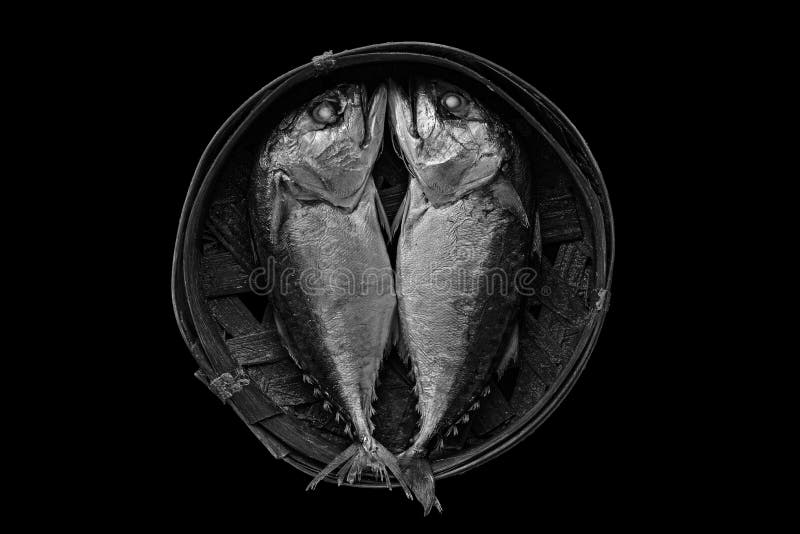 Steamed Mackerel or Tuna Steamed Stock Photo Image of nutrition