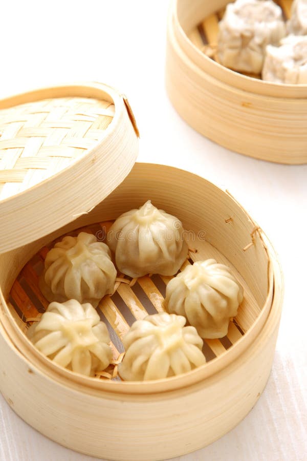 Steamed meat dumpling stock photo. Image of asian, cuisine 44966190