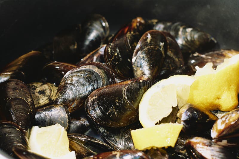 Steamed Mussels in a Classic Pot with Some Pieces of Lemon Stock Photo