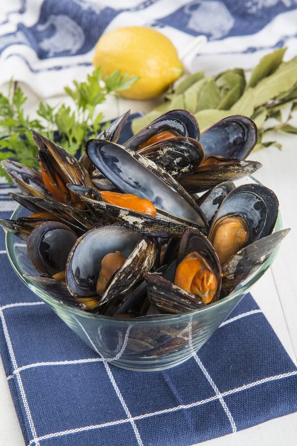 Steamed mussels stock photo. Image of lemon, gourmet 41475790