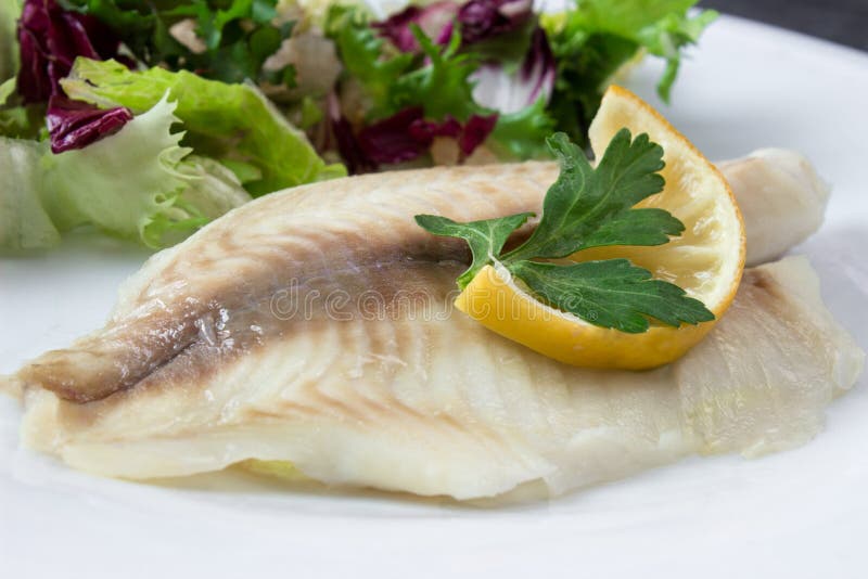 Steamed Tilapia Fish with Salad Stock Photo Image of cooked, healthy