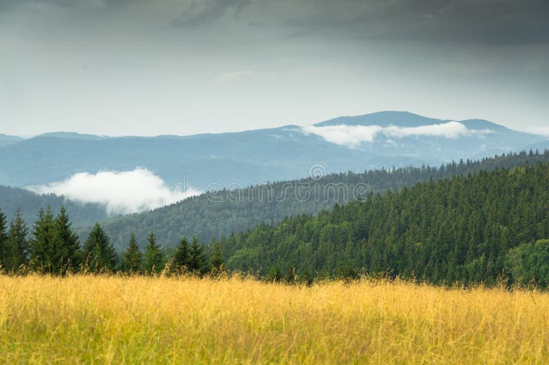 Steaming Forests in the Mountains, the Landscape after the Rain. Stock ...