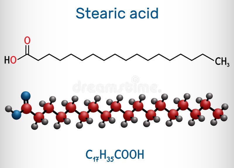 Stearic Acid, Octadecanoic, Saturated Fatty Acid Molecule. Structural  Chemical Formula and Molecule Model Stock Vector - Illustration of organic,  molecular: 169788018