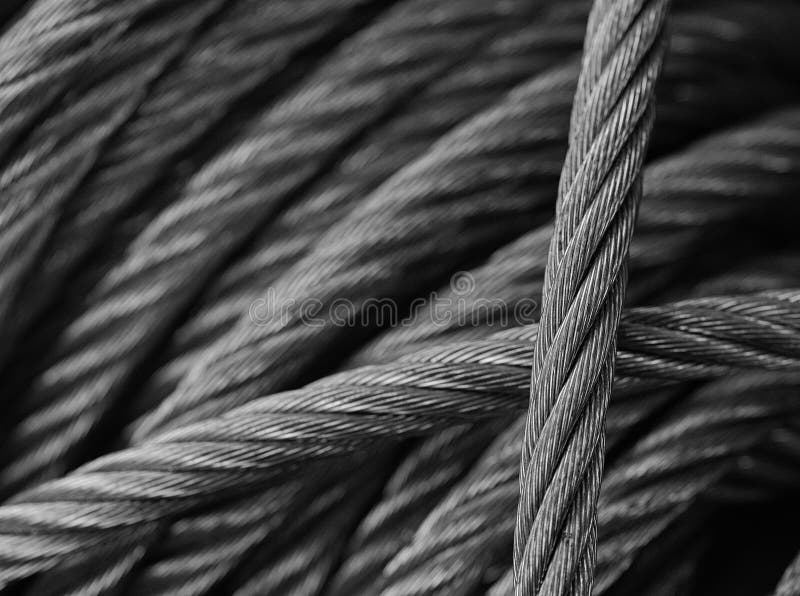 Steel Cables in Black and White